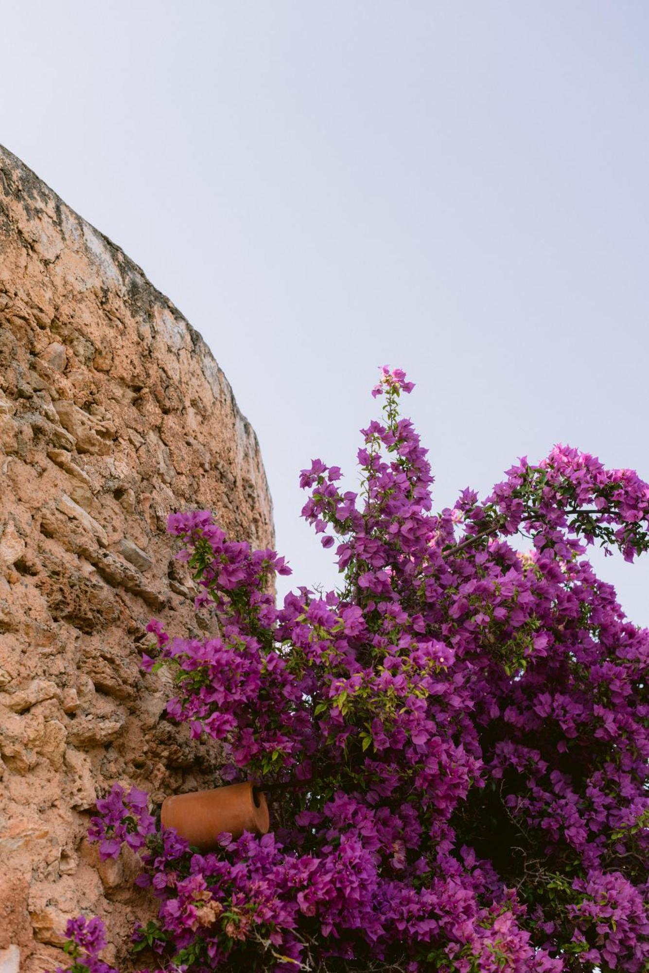 Can Quince Balafia Ibiza Hotel - Turismo De Interior Sant Llorenc de Balafia Kültér fotó